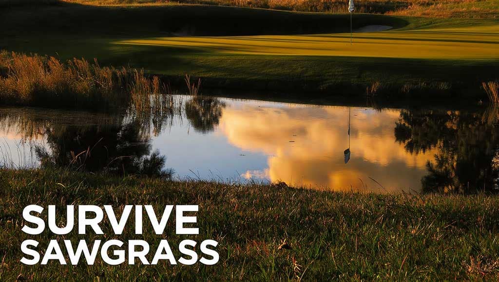Survive Sawgrass - Golf Course Intel