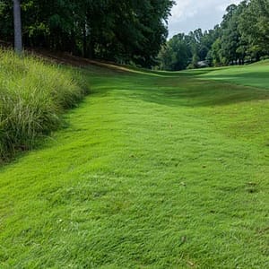 Bermuda Triangle Golf - Golf Course Intel