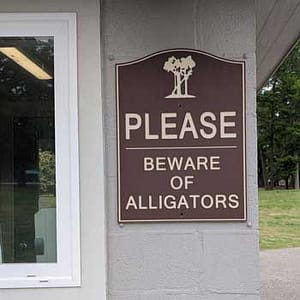 wildlife on the golf course