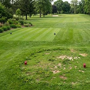 Comparison of a back tee box and a neglected forward tee box on a golf course