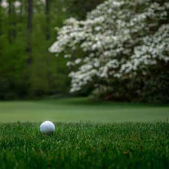 Augusta Strategy Guide - Golf Course Intel