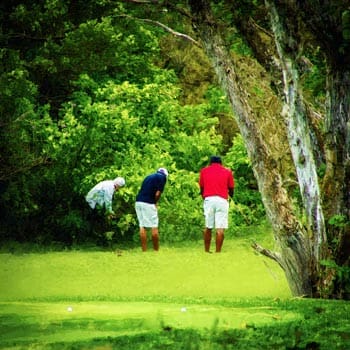 Bermuda Triangle Golf - Golf Course Intel
