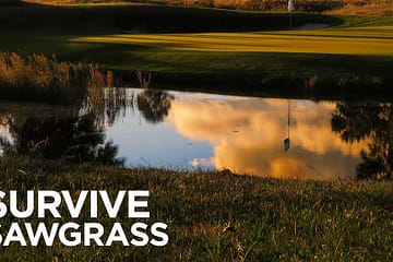 Survive Sawgrass - Golf Course Intel